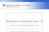 Copyright © 2007 Wolters Kluwer Health | Lippincott Williams & Wilkins Neuroscience: Exploring the Brain, 3e Chapter 3: The Neuronal Membrane at Rest.
