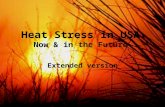 Heat Stress in USA Now & in the Future Extended version.
