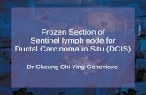 Frozen Section of Sentinel lymph node for Ductal Carcinoma in Situ (DCIS) Dr Cheung Chi Ying Genevieve.