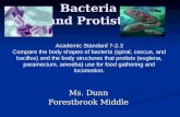Bacteria and Protists Ms. Dunn Forestbrook Middle Academic Standard 7-2.3 Compare the body shapes of bacteria (spiral, coccus, and bacillus) and the body.