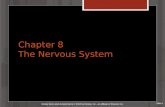 Slide 1 Mosby items and derived items © 2012 by Mosby, Inc., an affiliate of Elsevier Inc. Chapter 8 The Nervous System.