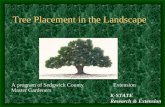 K-STATE Research & Extension Tree Placement in the Landscape A program of Sedgwick County Extension Master Gardeners.