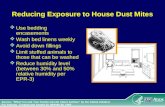 Reducing Exposure to House Dust Mites Use bedding encasements Wash bed linens weekly Avoid down fillings Limit stuffed animals to those that can be washed.