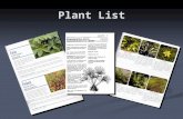 Plant List. Design Considerations Ecology Ecology Function Function Aesthetics Aesthetics.