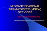 MIGRANT SEASONAL FARMWORKER (MSFW) SERVICES  An equal opportunity employer/program. Auxiliary aids and services are available.