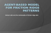 Merkel cells and the individuality of friction ridge skin.