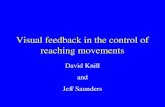 Visual feedback in the control of reaching movements David Knill and Jeff Saunders.