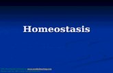 Homeostasis This Powerpoint is hosted on  Please visit for 100s more free powerpoints.