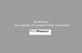 RealNames An example of Common Name Namespace. Presentation roadmap Context of use Market requirements Technical Overview Q&As.