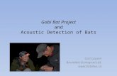 Gobi Bat Project and Acoustic Detection of Bats Cori Lausen Birchdale Ecological Ltd. .