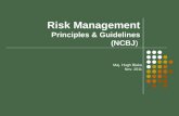 Risk Management Principles & Guidelines (NCBJ) Maj. Hugh Blake Nov. 2011.