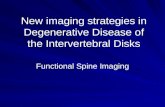 New imaging strategies in Degenerative Disease of the Intervertebral Disks Functional Spine Imaging.