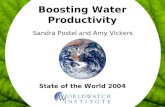 State of the World 2004 Boosting Water Productivity Sandra Postel and Amy Vickers.