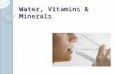 Water, Vitamins & Minerals. Vitamins Certain vitamins and minerals are needed for the body to function. 13 vitamins 22 minerals Two types of vitamins.