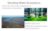 Standing-Water Ecosystems There are two main categories of freshwater ecosystems What is the main difference between these two ecosystems?