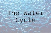 The Water Cycle. The Sun The sun provides the energy to power the water cycle The sun heats the upper ocean causing evaporation of liquid water into water.