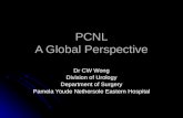 PCNL A Global Perspective Dr CW Wong Division of Urology Department of Surgery Pamela Youde Nethersole Eastern Hospital.