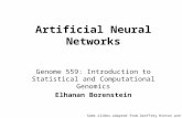 Genome 559: Introduction to Statistical and Computational Genomics Elhanan Borenstein Artificial Neural Networks Some slides adapted from Geoffrey Hinton.