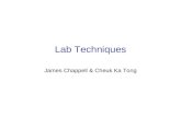 Lab Techniques James Chappell & Cheuk Ka Tong. Contents Page 1.Restriction Enzymes 2.Gel Electrophoresis 3.Blotting techniques-Southern, Northern and.