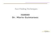 IS8080 Dr. Mario Guimaraes Fact Finding Techniques.