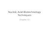 Nucleic Acid Biotechnology Techniques Chapter 13.