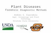 Plant Diseases Forensic Diagnostic Methods Andres S. Espindola Dept. Entomology and Plant Pathology Oklahoma State University.