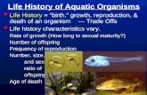 Life History of Aquatic Organisms Life History = birth, growth, reproduction, & death of an organism --- Trade Offs Life history characteristics vary.
