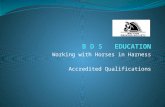 Working with Horses in Harness Accredited Qualifications.