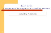 1 ECP 6701 Competitive Strategies in Expanding Markets Industry Analysis.