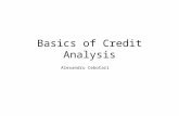 Basics of Credit Analysis Alexandru Cebotari. Sources and Types of Risks SourceType or Nature InternationalExchange Rate Changes Host Government Regulations.
