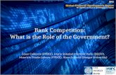 Bank Competition: What is the Role of the Government? César Calderón (FPDCE), Maria Soledad Martínez Pería (DECFP), Mauricio Pinzón Latorre (FPDCE), Klaus.