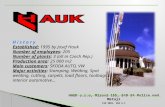 HAUK s.r.o, Mírová 155, 549 54 Police nad Metují ISO 9001, VDA 6.1 H i s t o r y Established: 1995 by Josef Hauk Number of employees: 205 Number of plants: