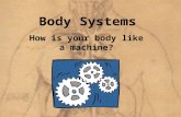 Body Systems How is your body like a machine?. Lets think back…. Why do all the body systems work together?