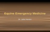 Equine Emergency Medicine Dr. John Henton. Equine First Aid Kit As Suggested By Dr. John Henton.