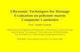 Ultrasonic Techniques for Damage Evaluation on polymer matrix Composite Laminates Prof. Claudio Scarponi Dipartimento di Ingegneria Aerospaziale e Astronautica,