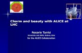 Charm and beauty with ALICE at LHC Rosario Turrisi University and INFN, Padova, Italy for the ALICE Collaboration.