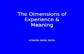The Dimensions of Experience & Meaning. Why experiences?