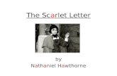 The Scarlet Letter by Nathaniel Hawthorne. Surveyor of The Custom House Having contributed to the Democratic Review, and once the Democrats were in power.