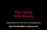 The Cactus Wild Beauty GOOD SENTENCES BY VIPUL M DESAI desaivm50@yahoo.com