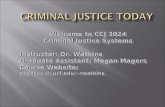 Welcome to CCJ 3024 Criminal Justice Systems Instructor: Dr. Watkins Graduate Assistant: Megan Magers Course Website: pegasus.cc.ucf.edu/~rwatkins Welcome.