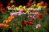 Meaning Associated with Rose Colors. Free template from .