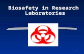 1 Biosafety in Research Laboratories. Definitions Biohazard An agent of biological origin that has the capacity to produce negative effects on humans,
