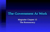 The Government At Work Magruder Chapter 15 The Bureaucracy.