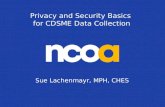 Privacy and Security Basics for CDSME Data Collection Sue Lachenmayr, MPH, CHES.