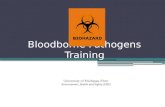 Bloodborne Pathogens Training University of Michigan-Flint. Environment, Health and Safety (EHS)
