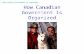 How Canadian Government Is Organized. The Basics Weve Already Covered: Canada is an indirect democracy representative government Citizens freely choose.