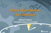 Data Warehouse Accelerator Michael Wallace Principal Systems Consultant.
