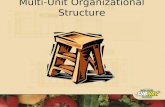 Multi-Unit Organizational Structure. Objective To Implement a Multi-Unit Organizational Structure that will maximize efficiency and potential profitability.