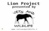 Www.vetsandwildlife.co.za Lion Project presented by.