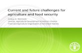 Current and future challenges for agriculture and food security Kostas G. Stamoulis Director, Agricultural Development Economics Division Food and Agriculture.